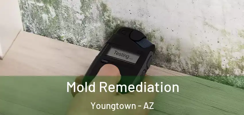  Mold Remediation Youngtown - AZ