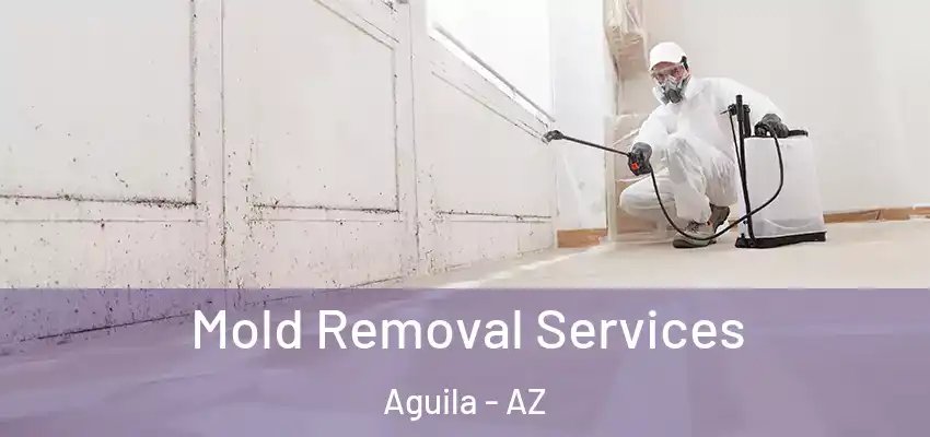  Mold Removal Services Aguila - AZ