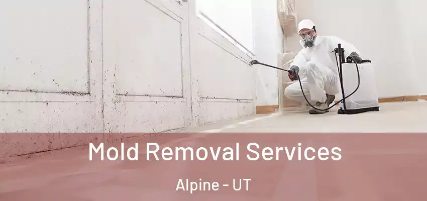  Mold Removal Services Alpine - UT