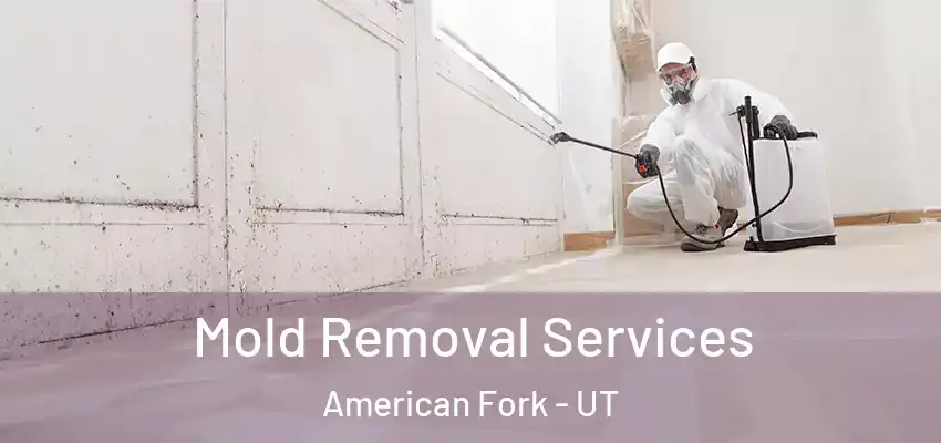  Mold Removal Services American Fork - UT