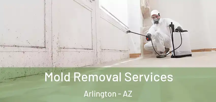  Mold Removal Services Arlington - AZ