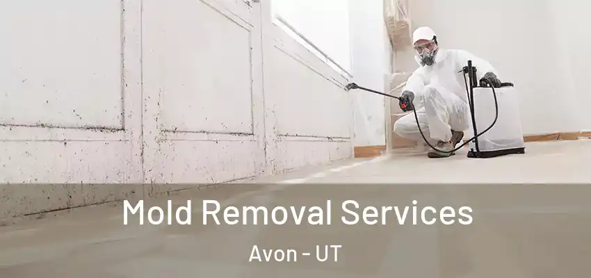 Mold Removal Services Avon - UT
