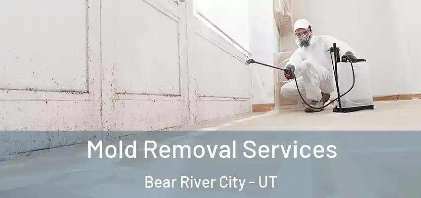  Mold Removal Services Bear River City - UT