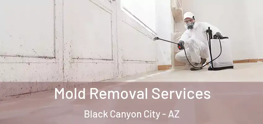  Mold Removal Services Black Canyon City - AZ