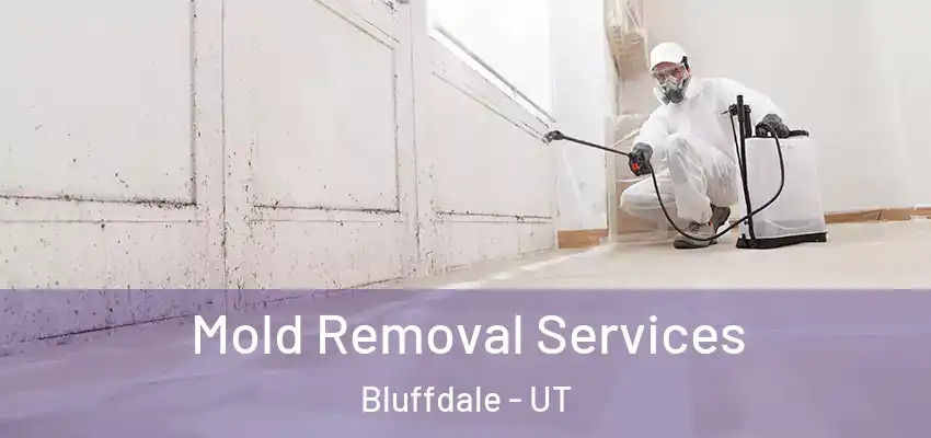  Mold Removal Services Bluffdale - UT
