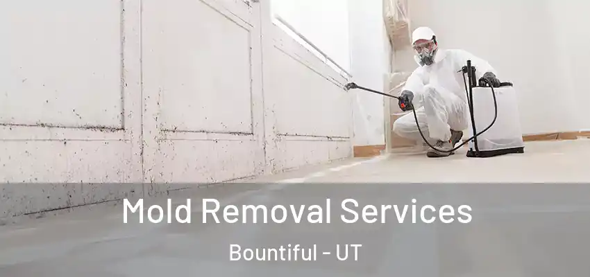  Mold Removal Services Bountiful - UT
