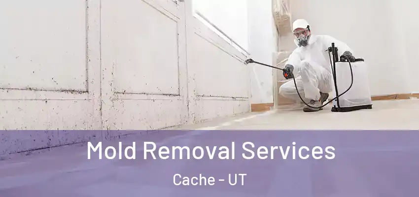  Mold Removal Services Cache - UT