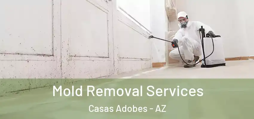  Mold Removal Services Casas Adobes - AZ