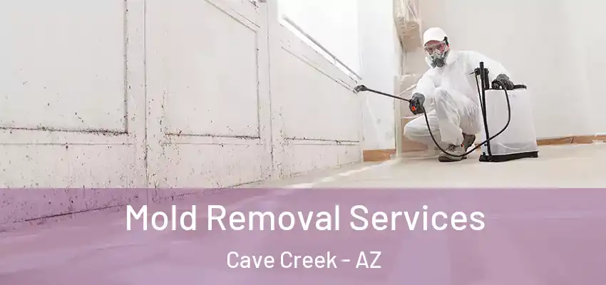  Mold Removal Services Cave Creek - AZ