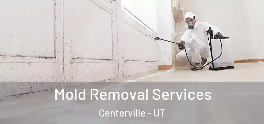  Mold Removal Services Centerville - UT