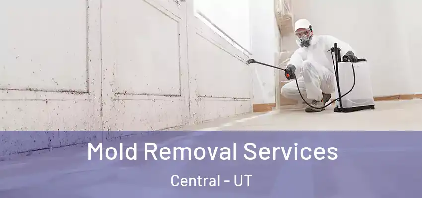  Mold Removal Services Central - UT