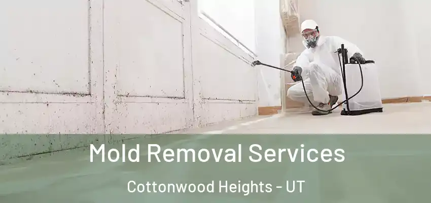  Mold Removal Services Cottonwood Heights - UT