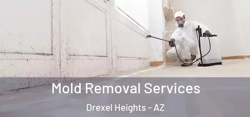  Mold Removal Services Drexel Heights - AZ