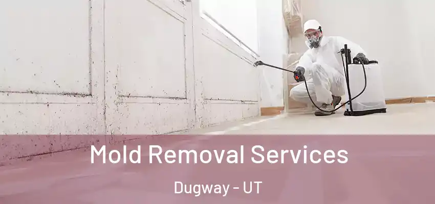  Mold Removal Services Dugway - UT