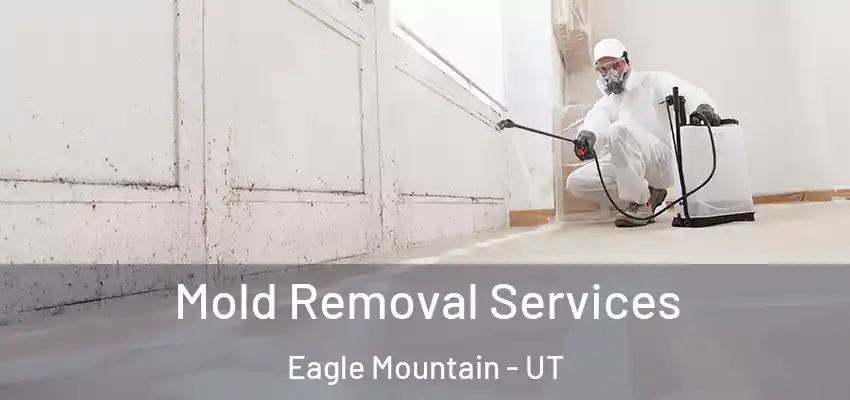  Mold Removal Services Eagle Mountain - UT