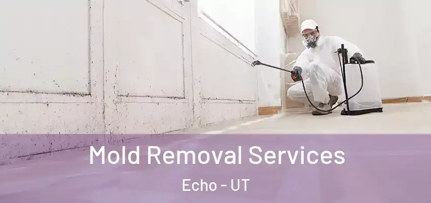  Mold Removal Services Echo - UT