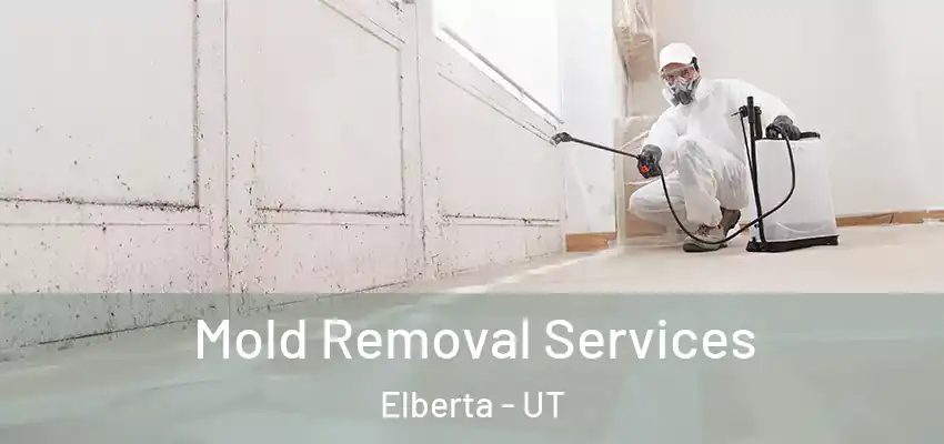  Mold Removal Services Elberta - UT