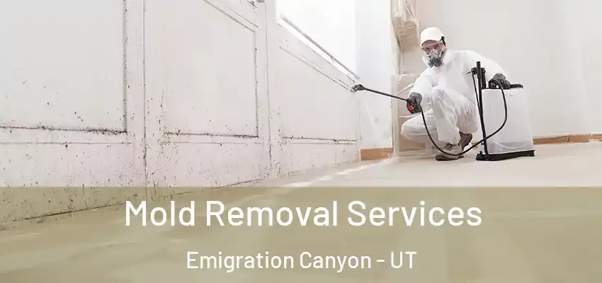  Mold Removal Services Emigration Canyon - UT