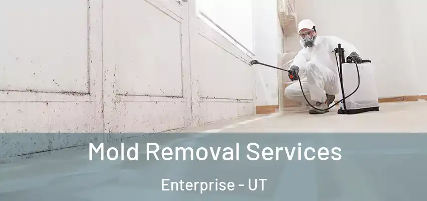  Mold Removal Services Enterprise - UT
