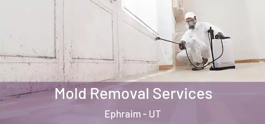Mold Removal Services Ephraim - UT