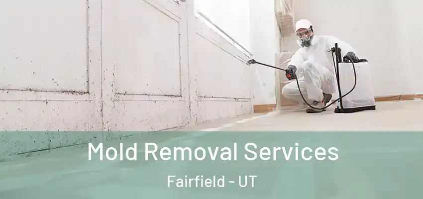 Mold Removal Services Fairfield - UT