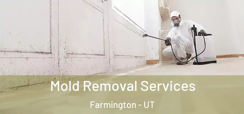 Mold Removal Services Farmington - UT