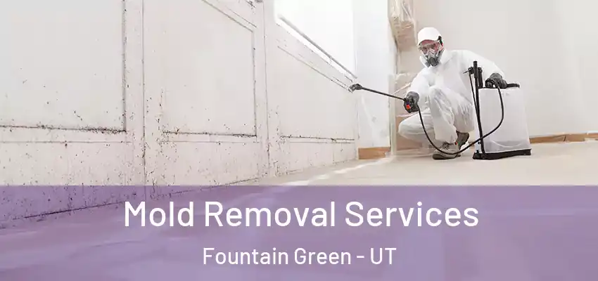 Mold Removal Services Fountain Green - UT