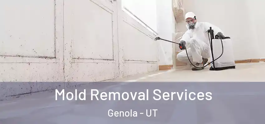 Mold Removal Services Genola - UT