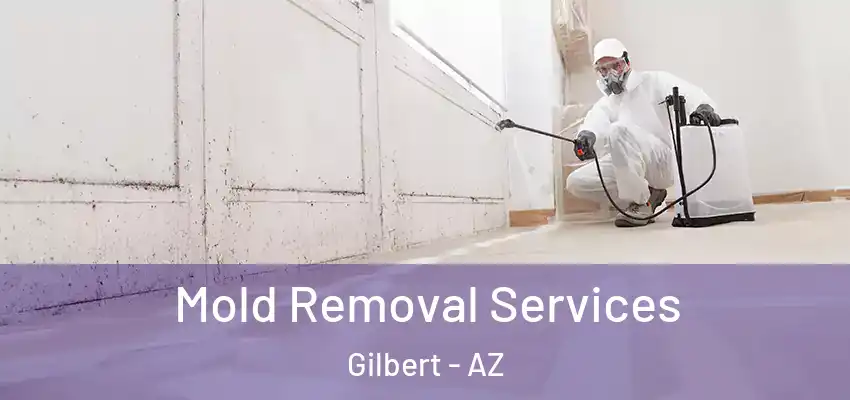 Mold Removal Services Gilbert - AZ
