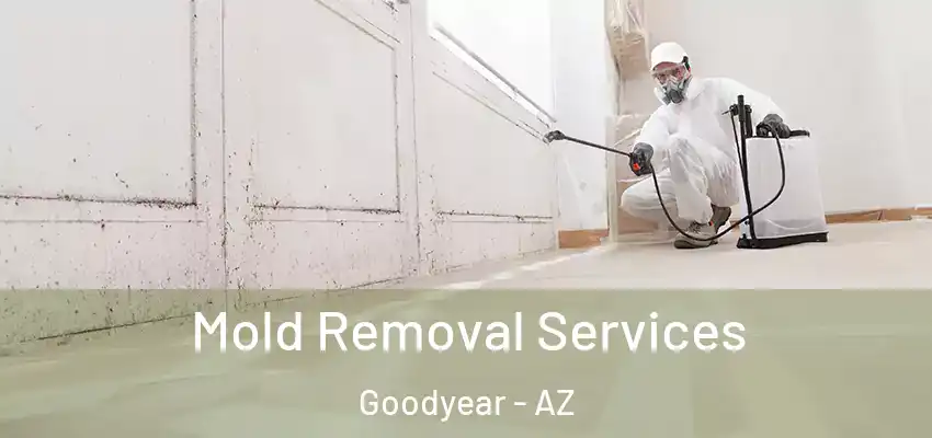 Mold Removal Services Goodyear - AZ