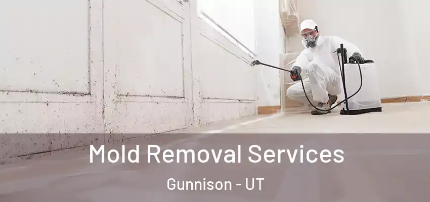  Mold Removal Services Gunnison - UT