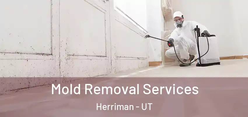 Mold Removal Services Herriman - UT