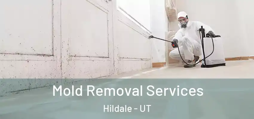 Mold Removal Services Hildale - UT