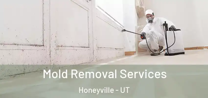  Mold Removal Services Honeyville - UT