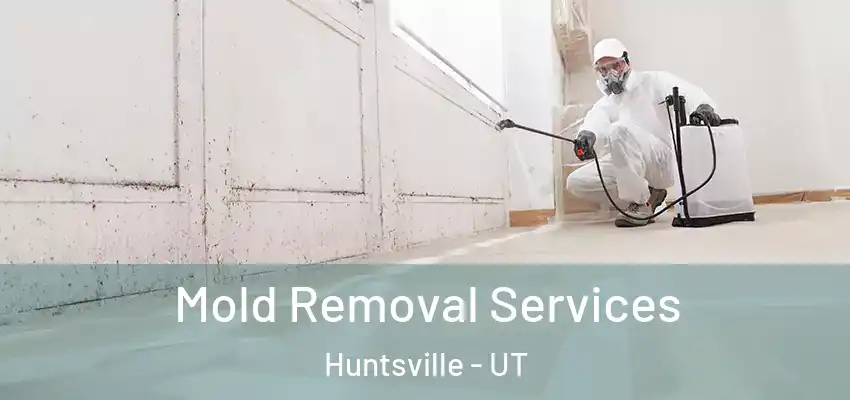  Mold Removal Services Huntsville - UT