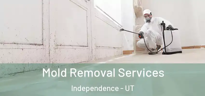 Mold Removal Services Independence - UT