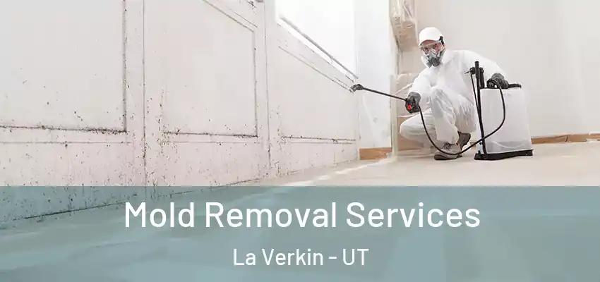  Mold Removal Services La Verkin - UT