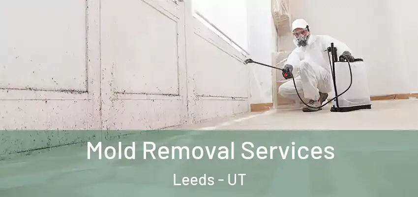  Mold Removal Services Leeds - UT