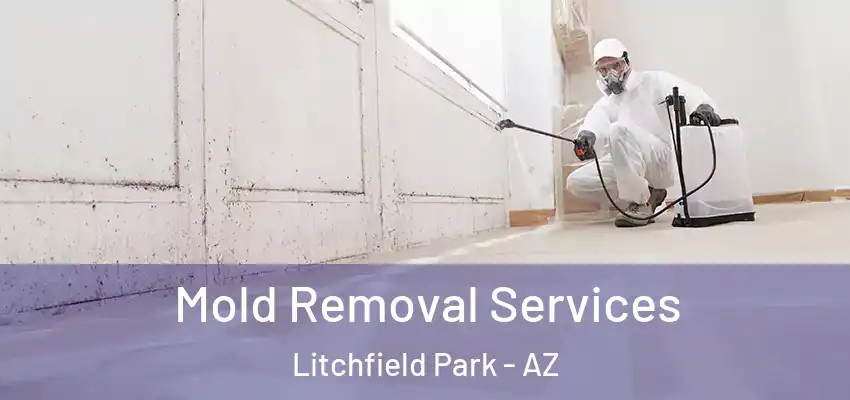  Mold Removal Services Litchfield Park - AZ