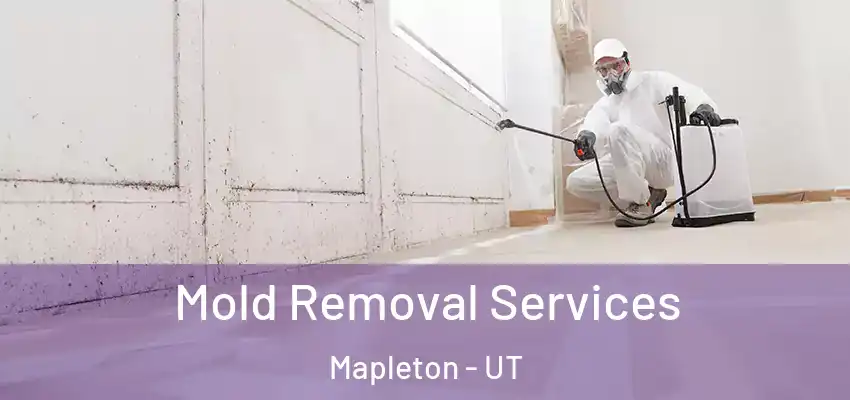 Mold Removal Services Mapleton - UT