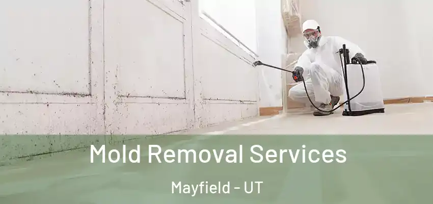 Mold Removal Services Mayfield - UT