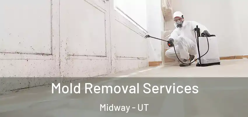 Mold Removal Services Midway - UT