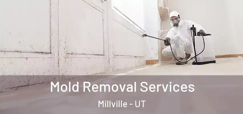  Mold Removal Services Millville - UT