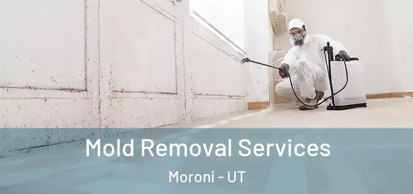 Mold Removal Services Moroni - UT