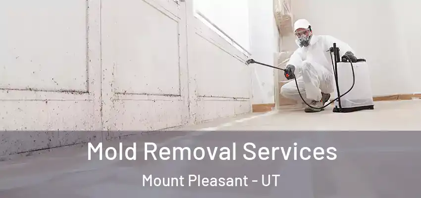  Mold Removal Services Mount Pleasant - UT