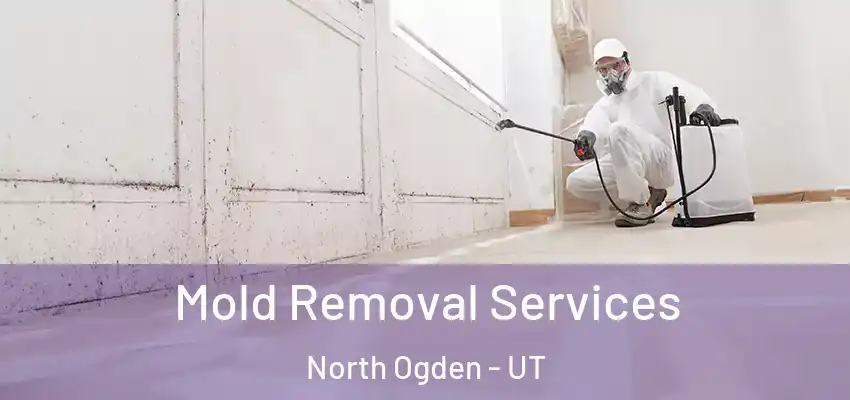  Mold Removal Services North Ogden - UT