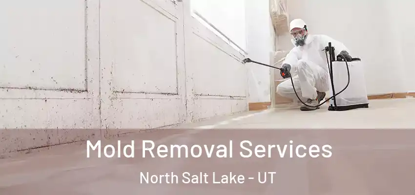  Mold Removal Services North Salt Lake - UT