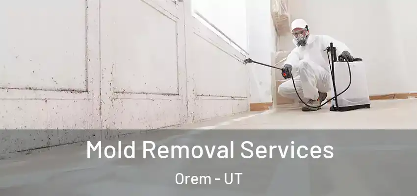 Mold Removal Services Orem - UT