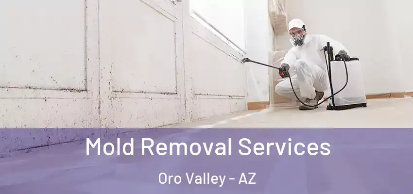  Mold Removal Services Oro Valley - AZ