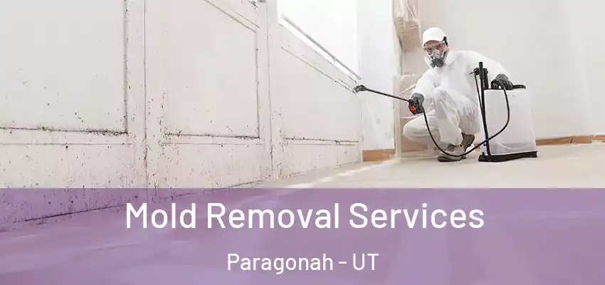  Mold Removal Services Paragonah - UT